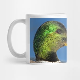 Mallard head shot Mug